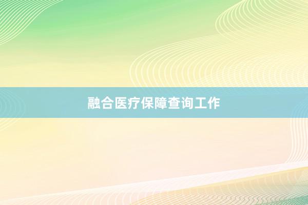 融合医疗保障查询工作